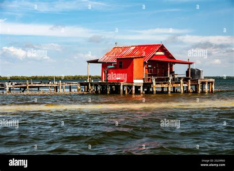 erica lynn florida|Fishing the ICONIC STILT HOUSES of PINE ISLAND, FL